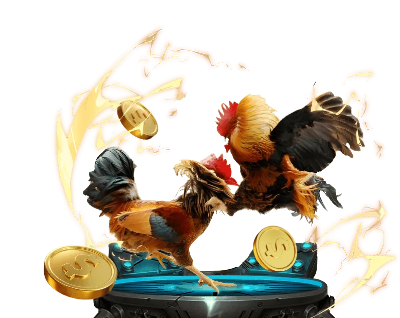 ok9 cool Fast Transactions